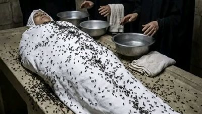 وهما بيغسلوها جسمها كله بينزل نمل