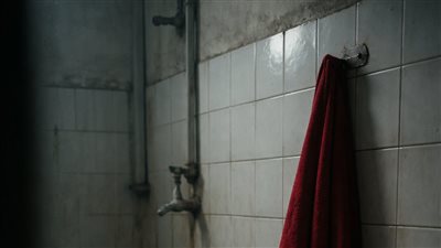 سر الحمام المشترك 